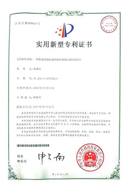 实用新型专利2