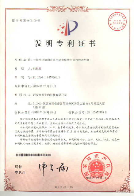 发明专利1