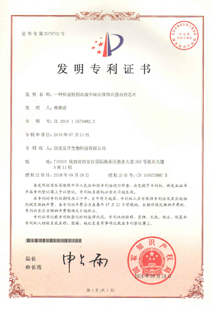 发明专利2