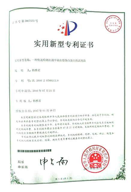 实用新型专利1